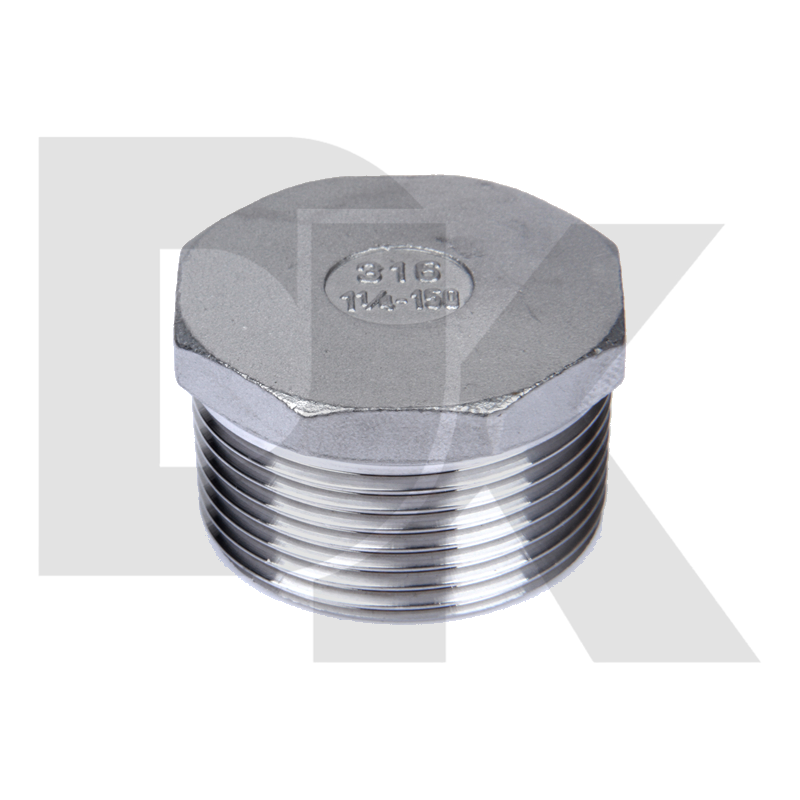 304 Bspt Cf8 Cf8M Stainless Steel Thread Fitting Hex Plug